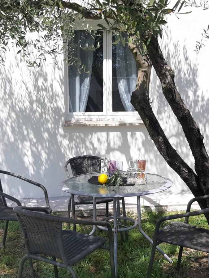 Vila Le Coin Des Oliviers Puget-sur Argens Exteriér fotografie