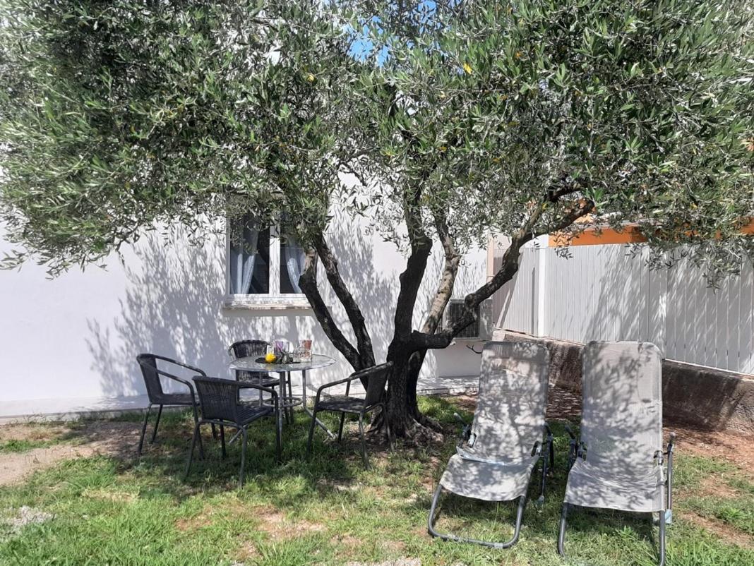 Vila Le Coin Des Oliviers Puget-sur Argens Exteriér fotografie