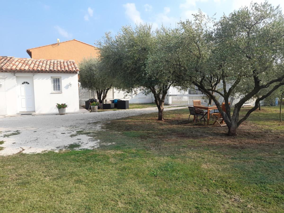 Vila Le Coin Des Oliviers Puget-sur Argens Exteriér fotografie